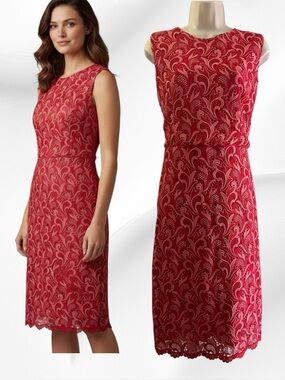 Ann Taylor Lace Sheath Dress Size 14